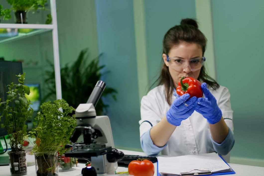 ISO 22000 Certification