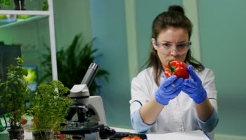 ISO 22000 Certification